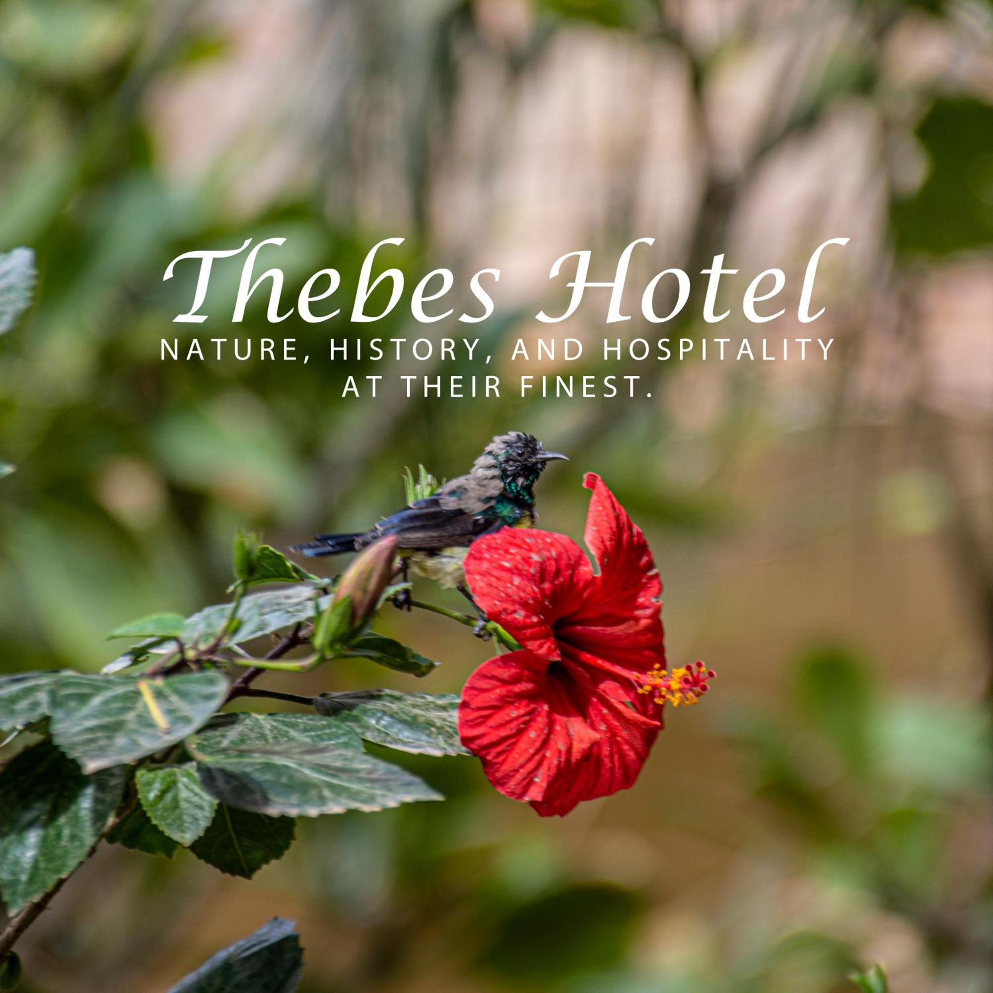 לוקסור Thebes Hotel מראה חיצוני תמונה