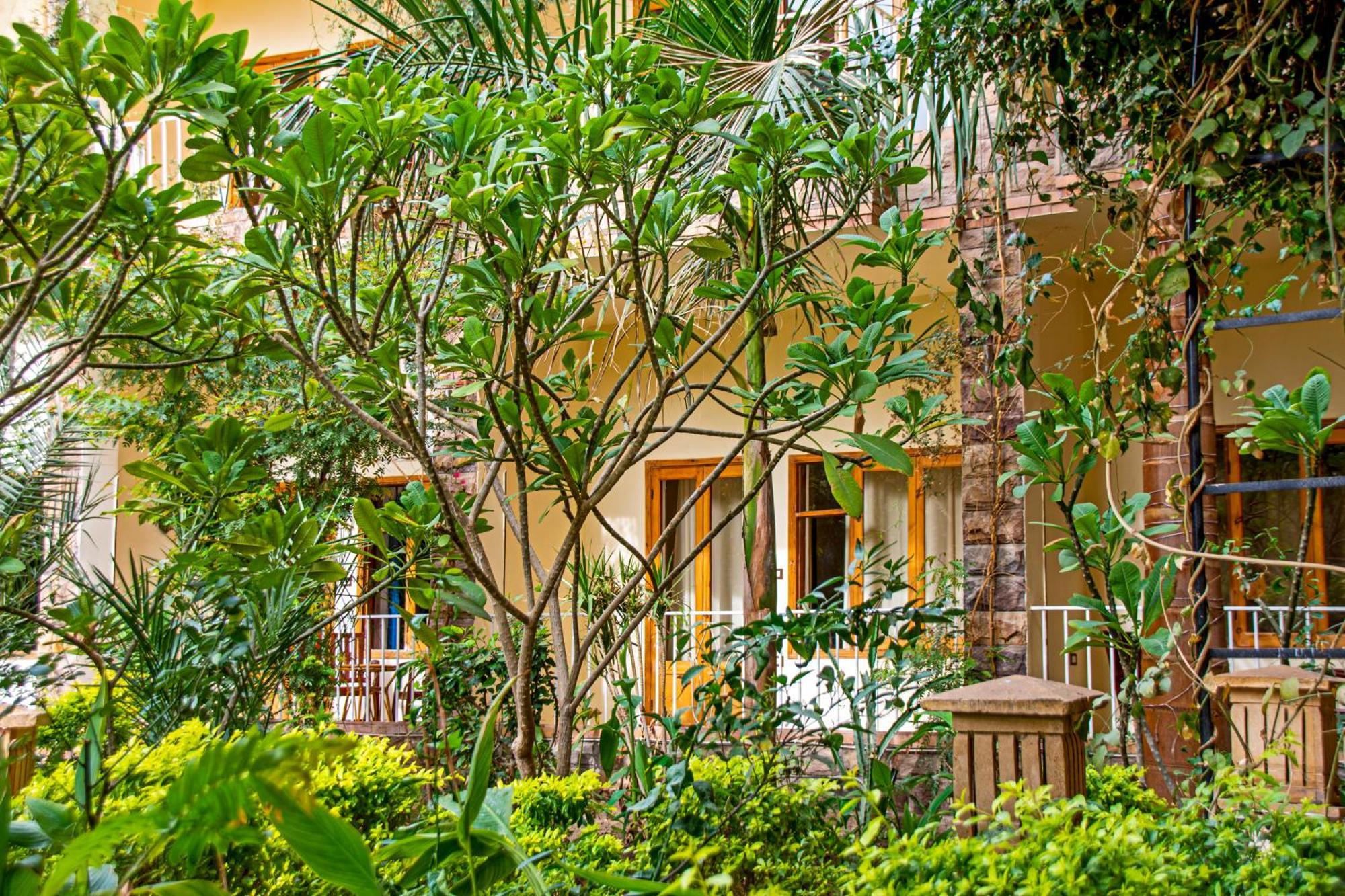 לוקסור Thebes Hotel מראה חיצוני תמונה