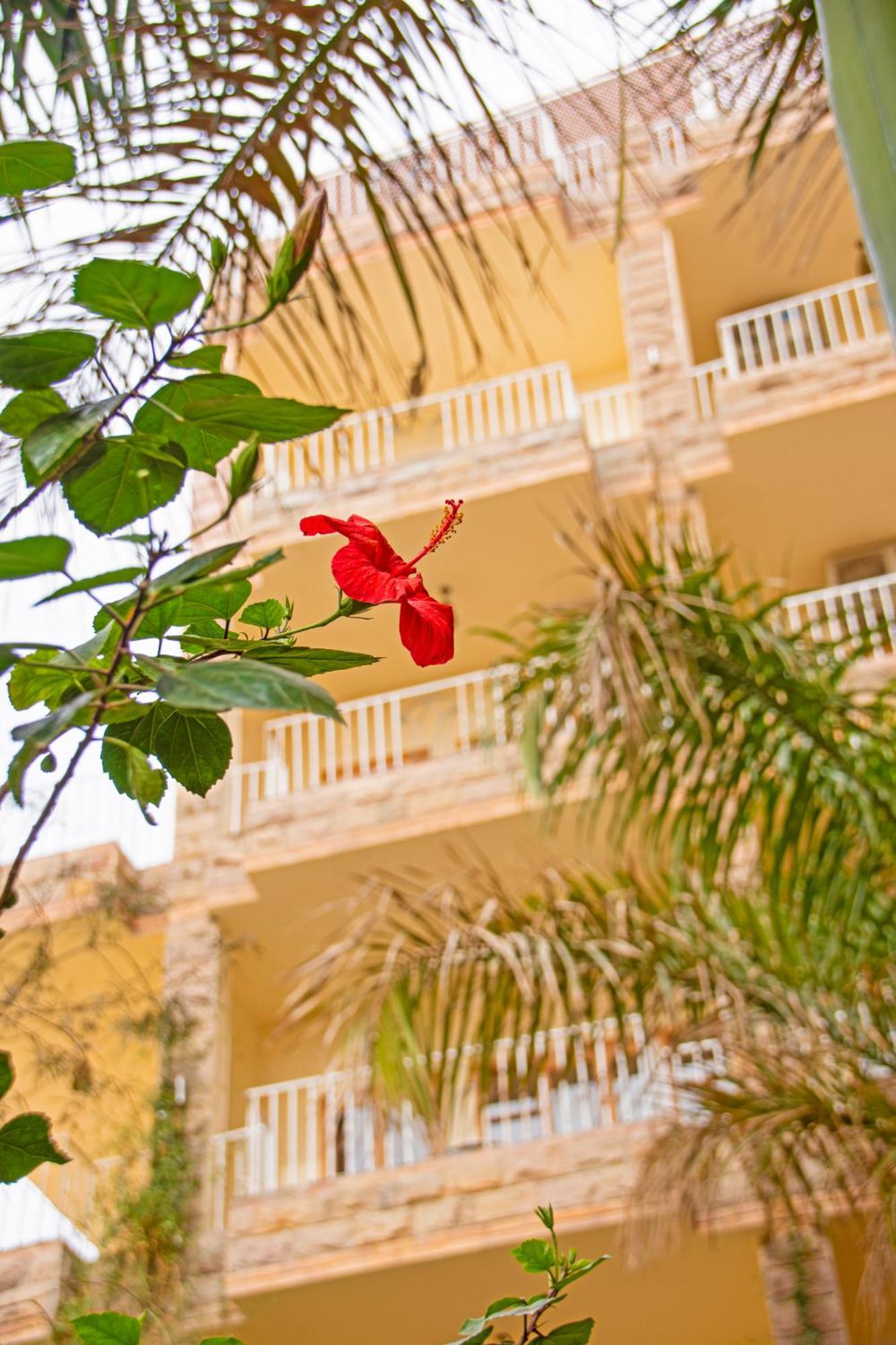 לוקסור Thebes Hotel מראה חיצוני תמונה